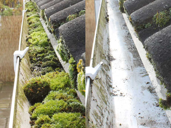 Gutter cleaning