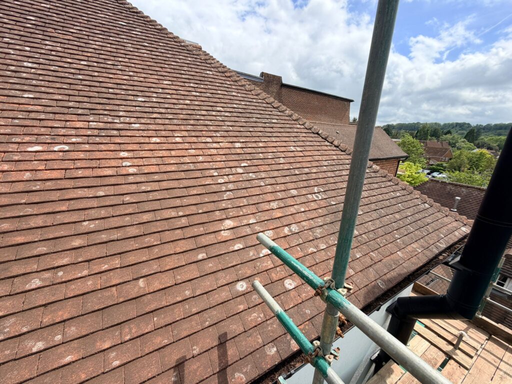 early signs roof cleaning