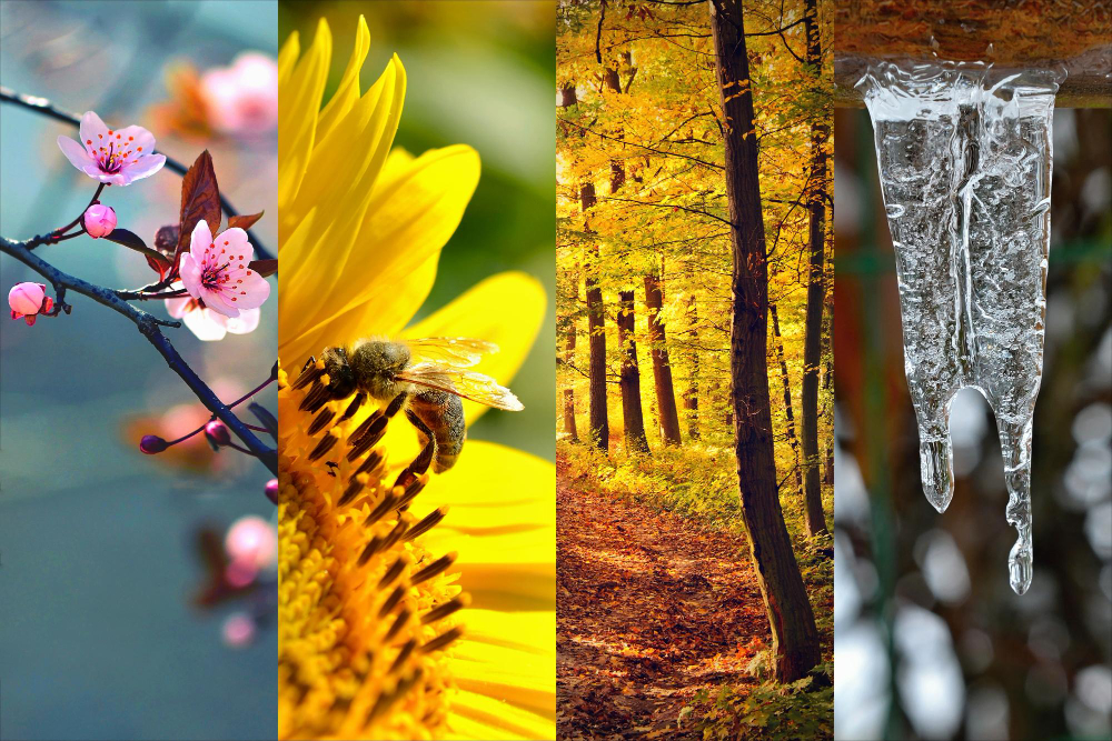 seasons vidder post