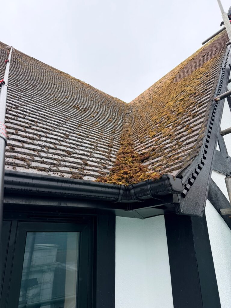 roof cleaning recent work