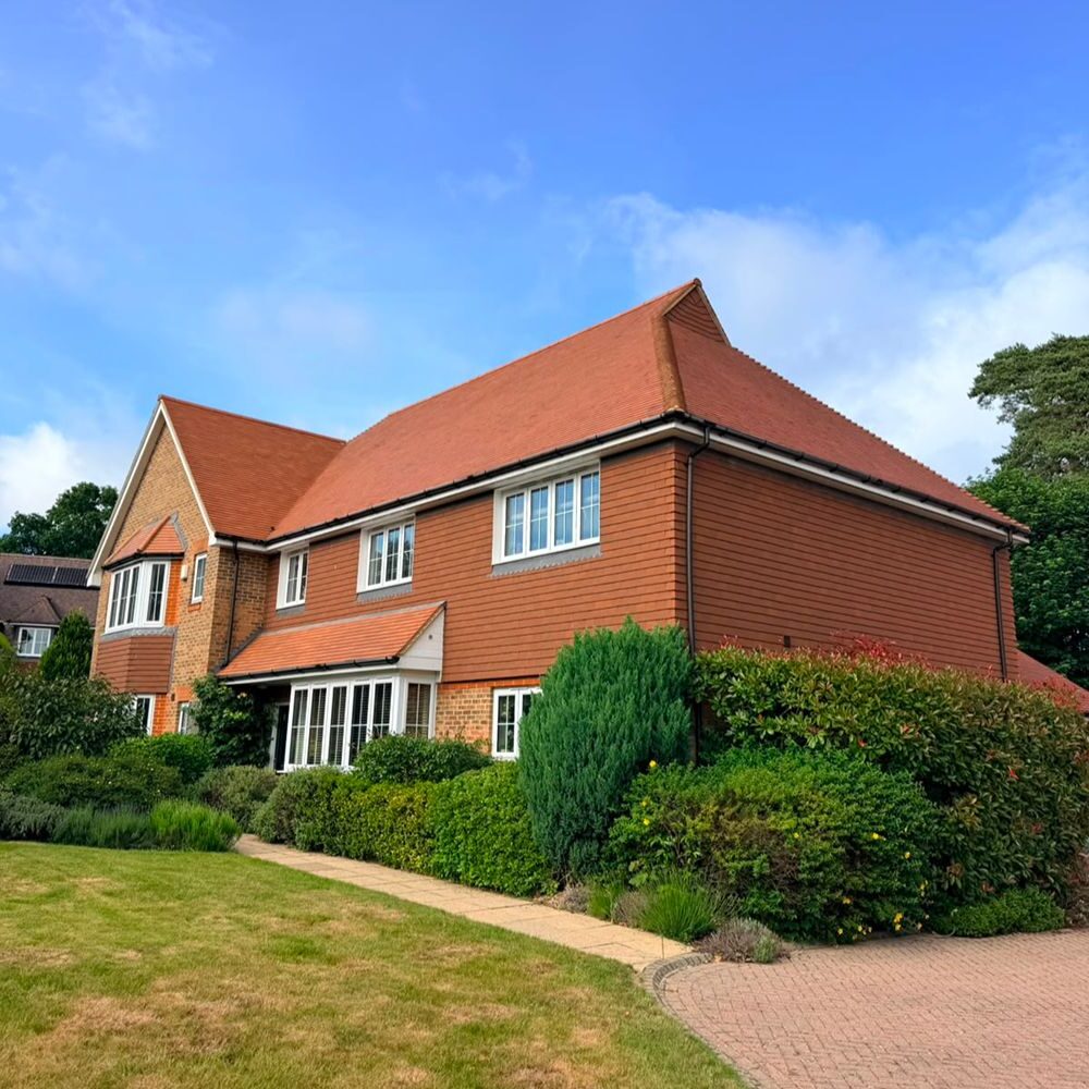 vidder large property clean 19